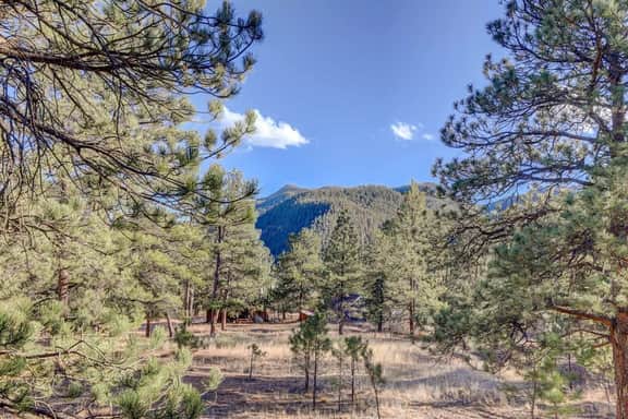 Historical Cabin with gorgeous views in Pine, Colorado!